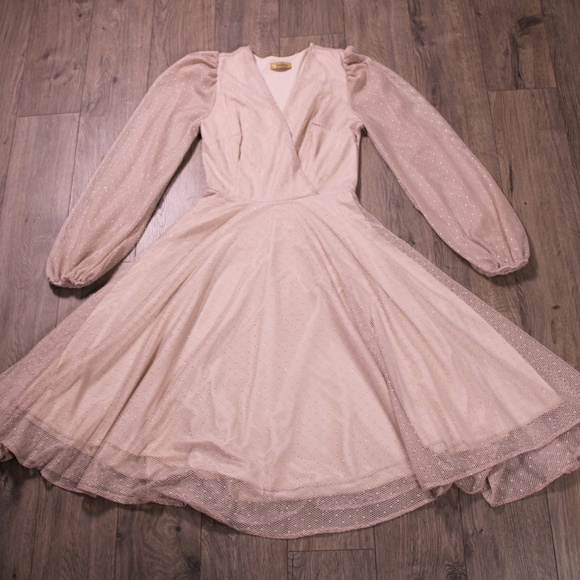 Asrima Champagne Shimmer Mesh Fit & Flare Dress – Size 10 - Picture 1 of 10